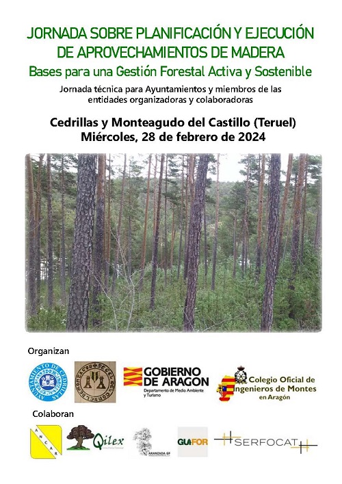 JORNADA SOBRE PLANIFICACIÓN Y EJECUCIÓN DE APROVECHAMIENTOS DE MADERA